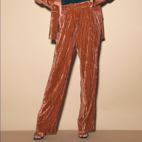 WAYF Velvet High-Waisted pant rust colored Trouser Pant XS - Picture 2 of 16